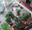 Hilton Suites Markham