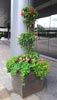 Outdoor Flowering Planter